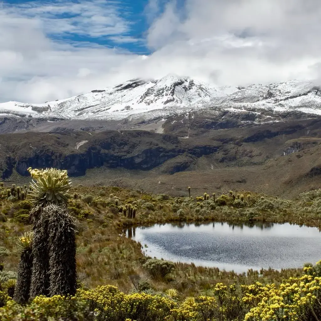 Laguna y frailejones en el Nevado del Ruiz